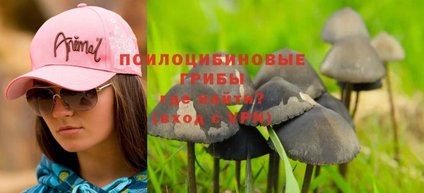 дурь Козельск