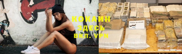 дурь Козельск