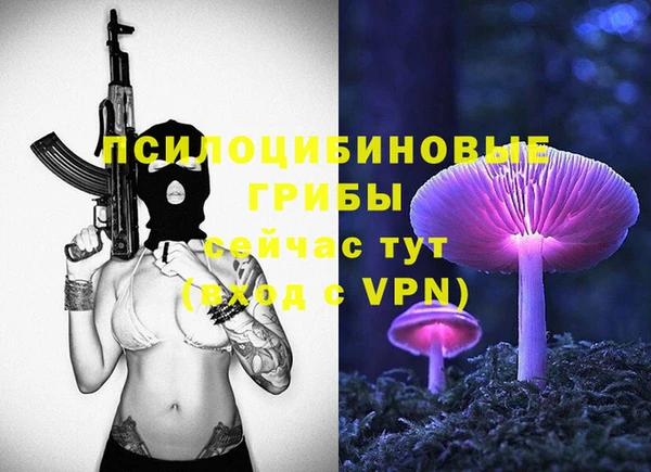 прущая мука Козловка