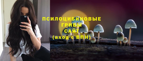 дурь Козельск