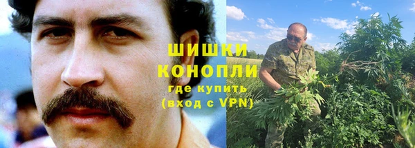 дурь Козельск