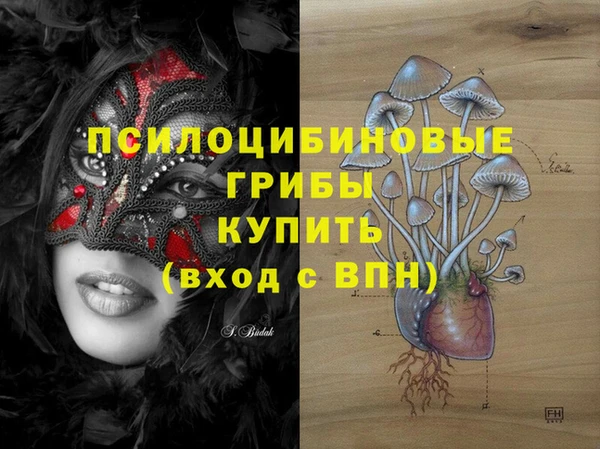 дурь Кодинск