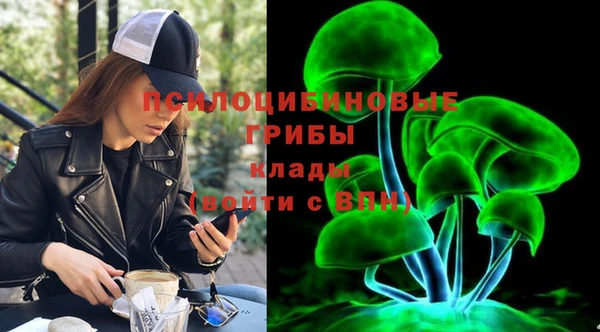 дурь Кодинск