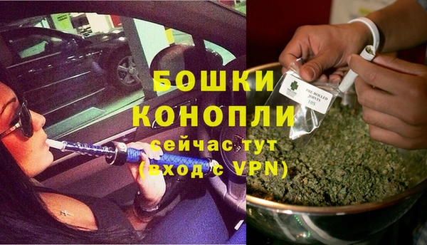 дурь Козельск