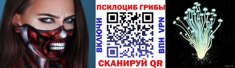 цены   Яранск  Галлюциногенные грибы Cubensis 